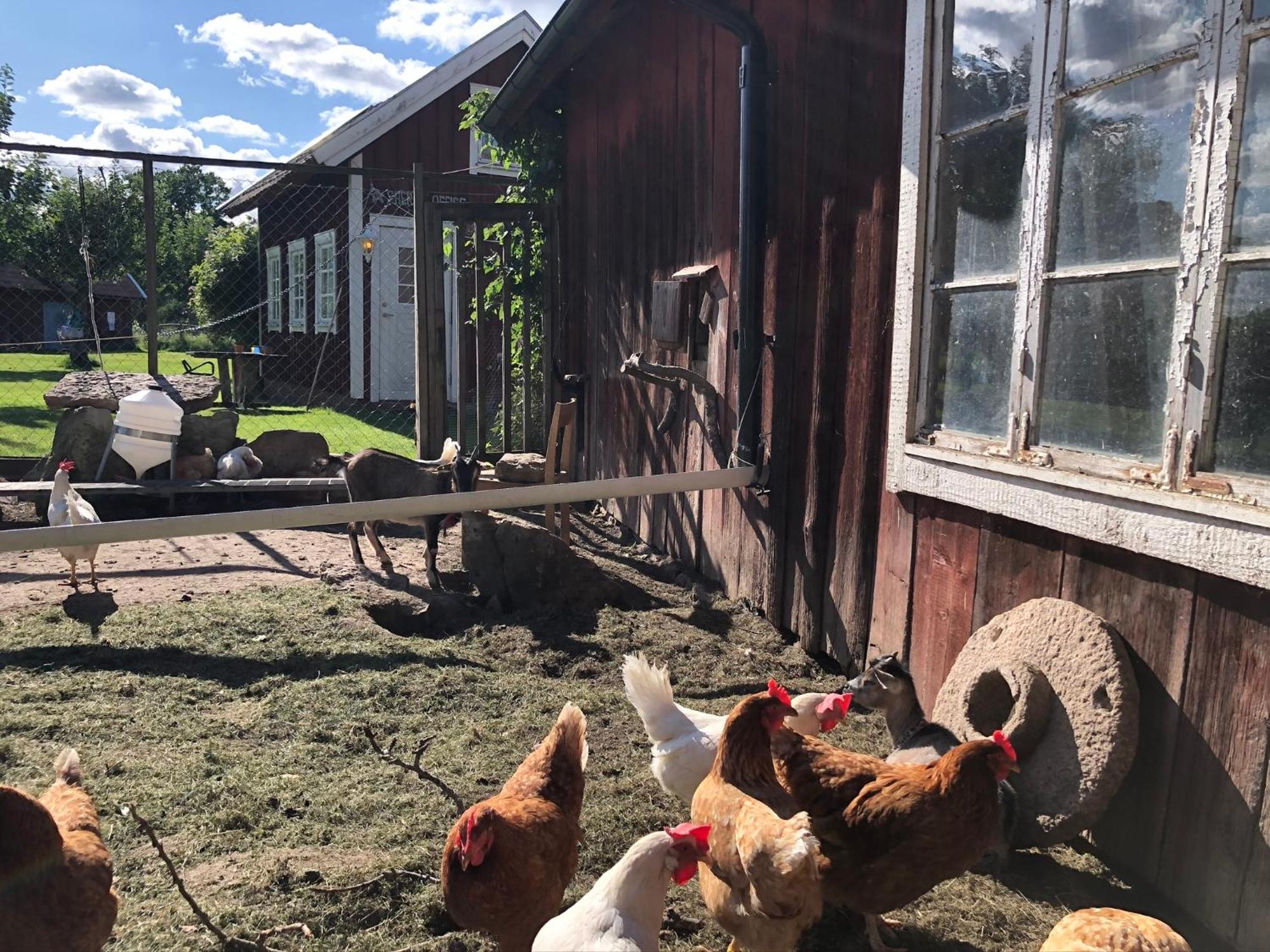 Aeventyrsgardens Vandrarhem, Kinnekulle Källby Exterior photo